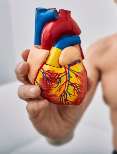 cardiologia-quirurgica-en-guadalajara.jpg