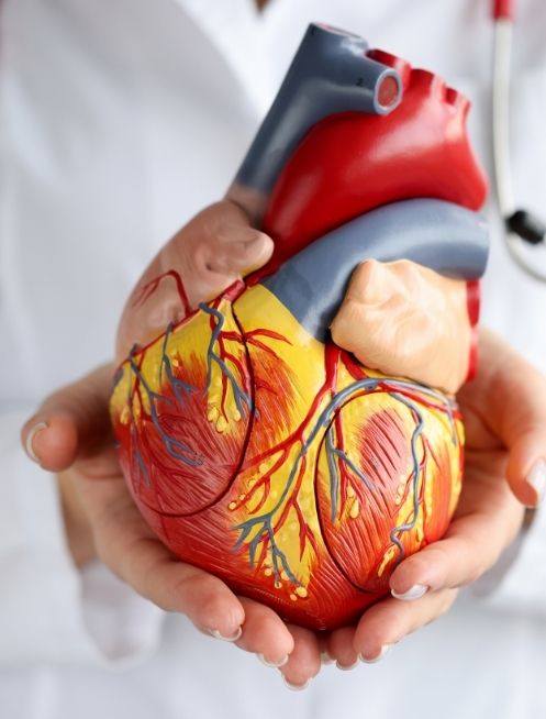 servicio-de-cardiologia-clinica-en-guadalajara-jalisco.jpg
