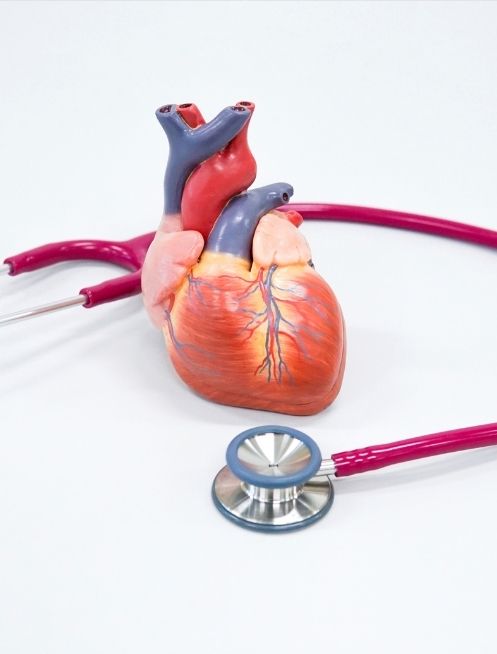 telefono-para-citas-de-cardiologia-en-guadalajara.jpg